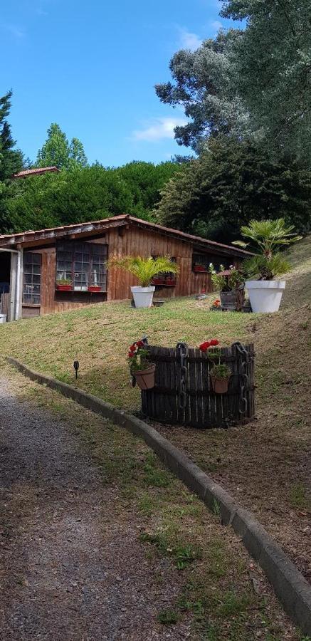 Apartamento F2 Confort **** *
