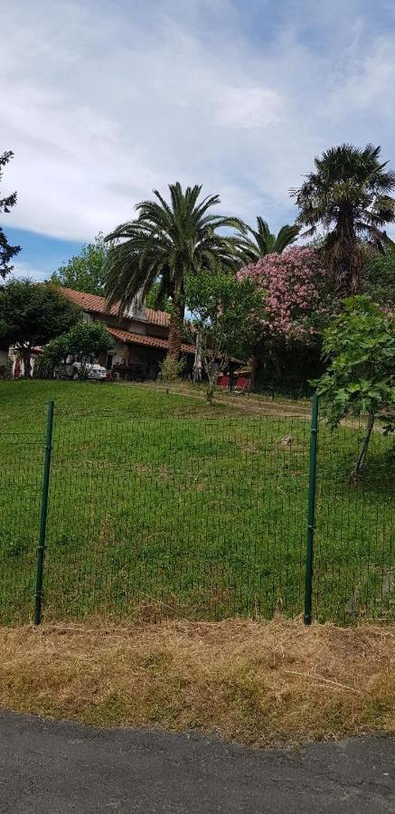 Apartamento F2 Confort **** *